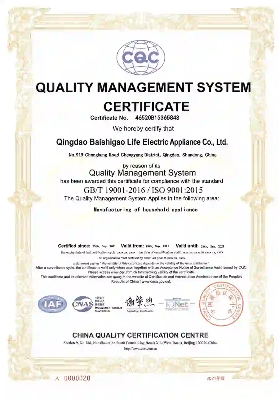 ISO 9001 certificate for Qingdao manufacturing plant